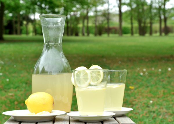 Les 5 boissons indispensables votre santé à boire chaque jour